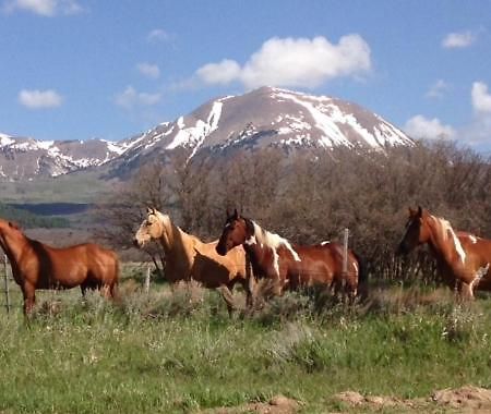 La Sal Mount Peale Country Inn מראה חיצוני תמונה