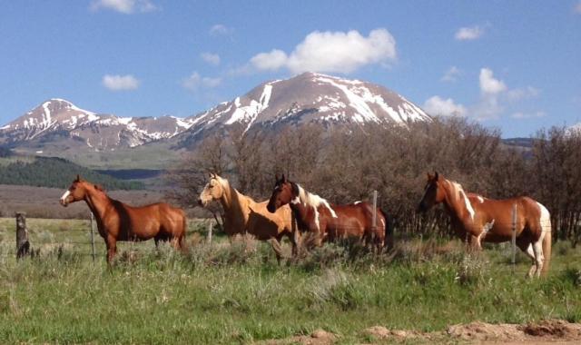 La Sal Mount Peale Country Inn מראה חיצוני תמונה